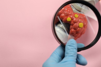 Endocrinologist looking at model of thyroid gland through magnifying glass on pink background, closeup. Space for text