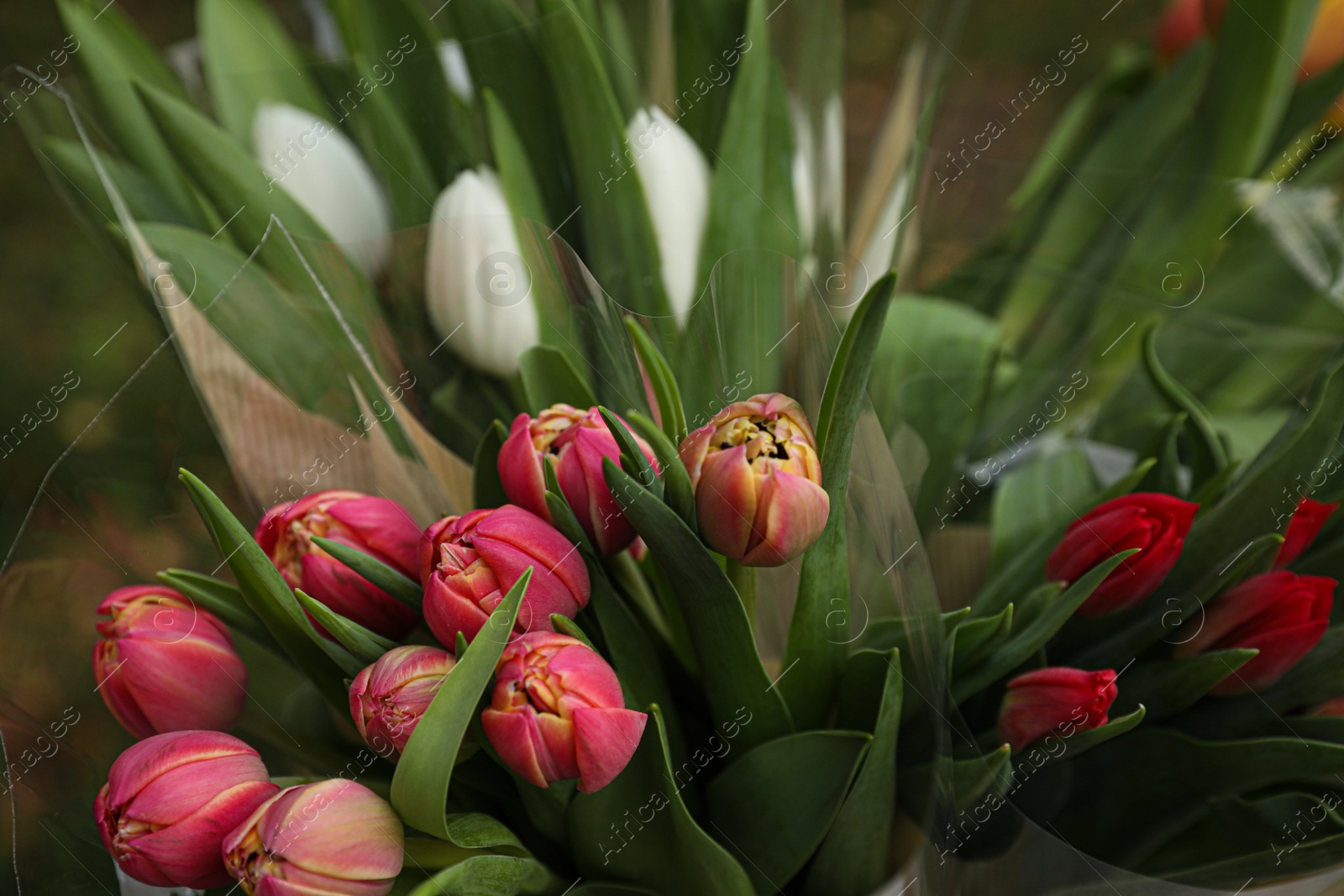 Photo of Beautiful bouquets of colorful tulips outdoors, closeup