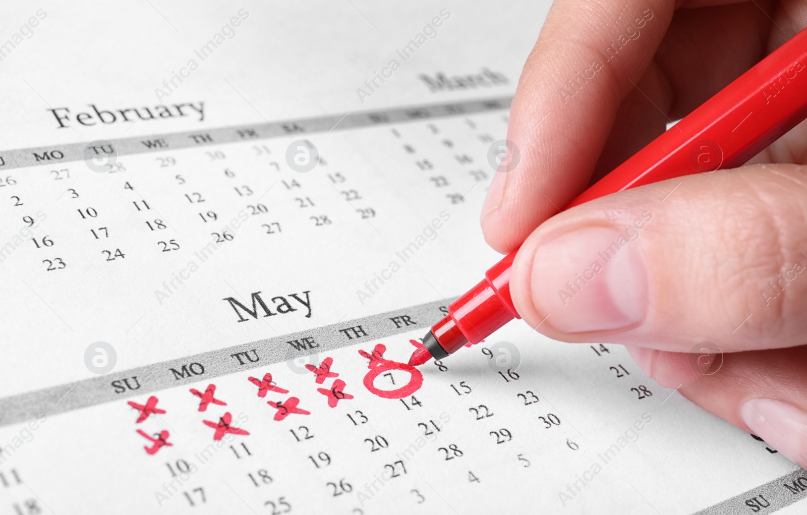 Photo of Woman marking date in calendar with red felt pen, closeup