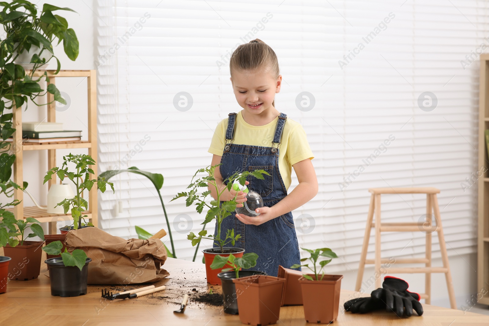 Photo of Cute little girl spraying seedling in pot at wooden table in room