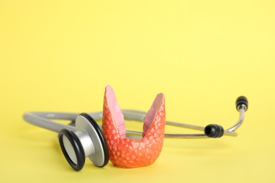 Photo of Plastic model of healthy thyroid and stethoscope on yellow background
