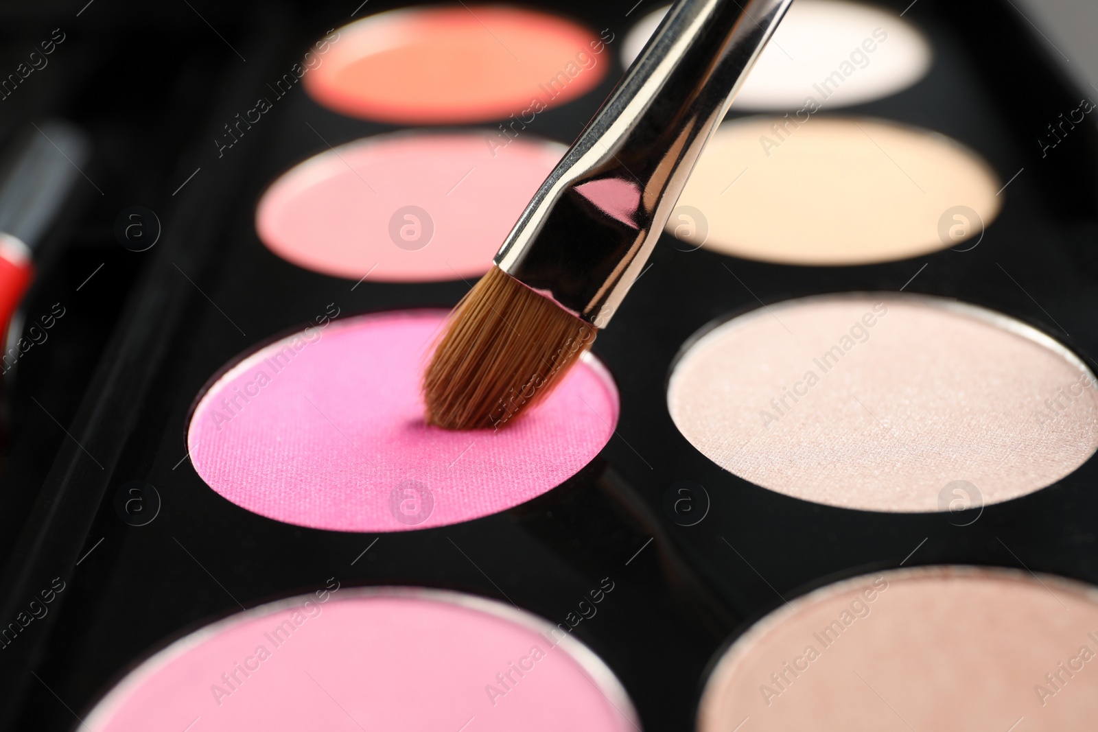 Photo of Colorful eyeshadow palette with brush, closeup view