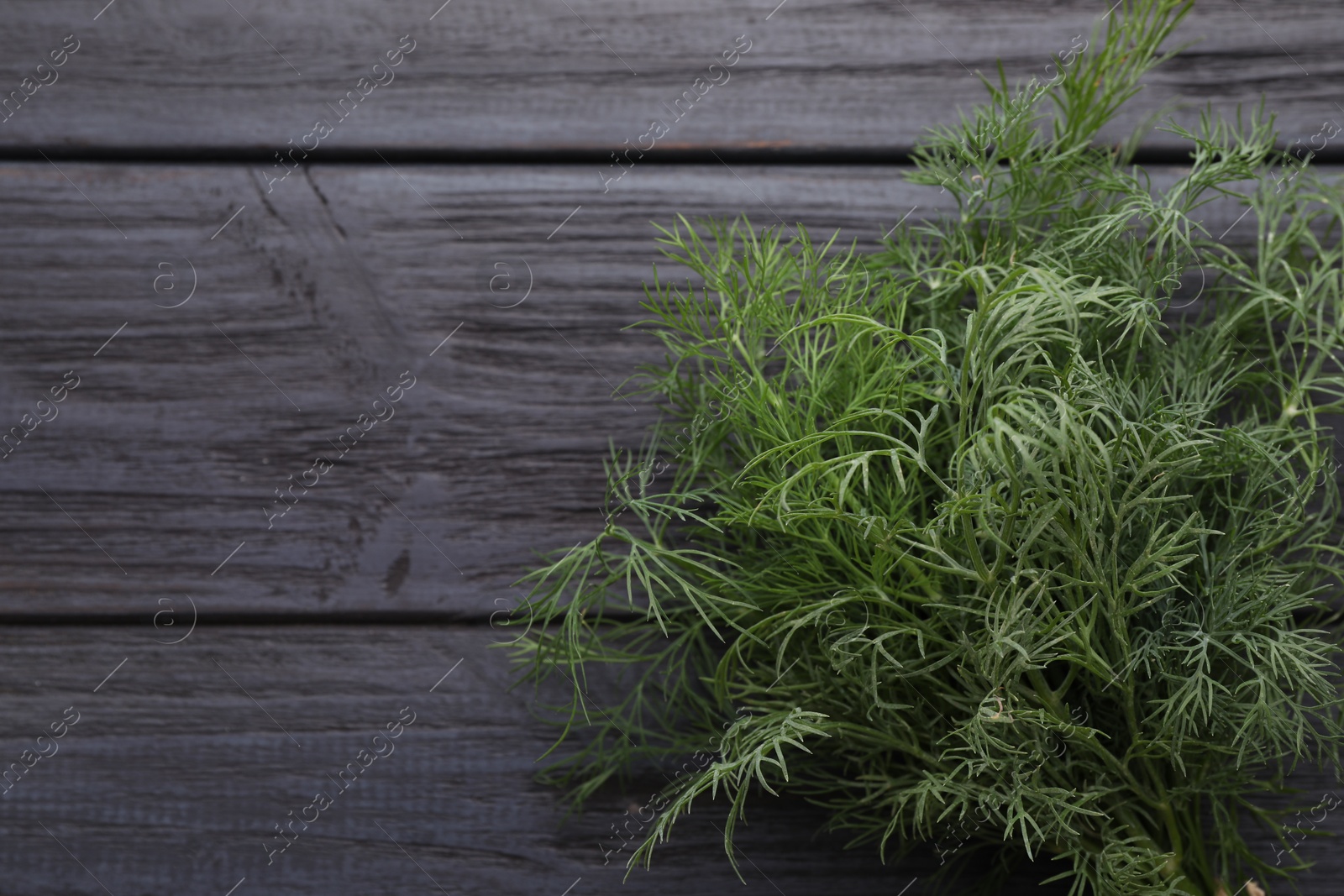 Photo of Fresh dill on wooden table, top view. Space for text