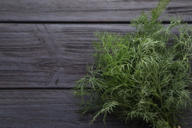 Fresh dill on wooden table, top view. Space for text