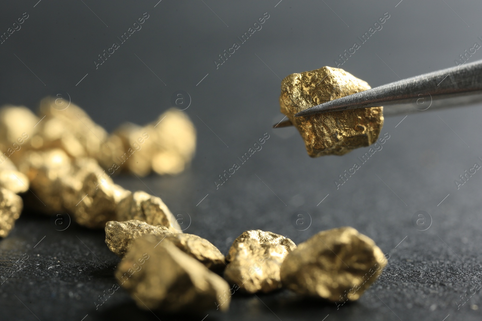 Photo of Tweezer with shiny gold nugget over grey surface, closeup. Space for text