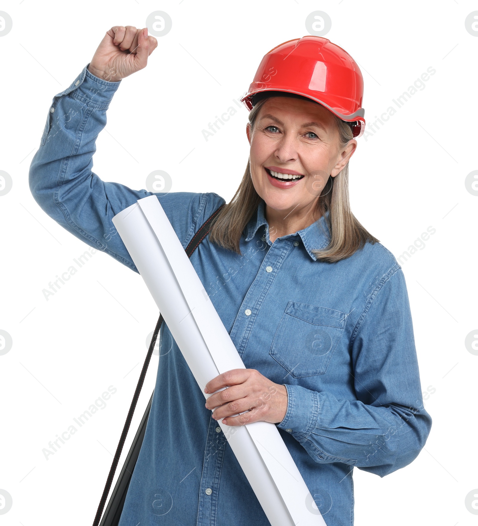 Photo of Architect in hard hat with draft and tube on white background
