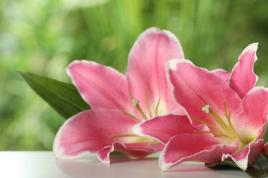 Photo of Beautiful pink lily flowers on table outdoors, closeup