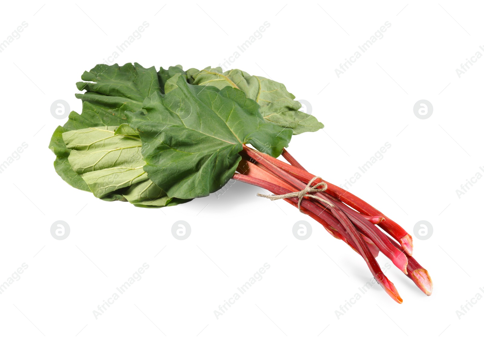 Photo of Fresh rhubarb stalks with leaves isolated on white