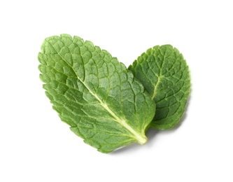 Leaves of fresh mint isolated on white