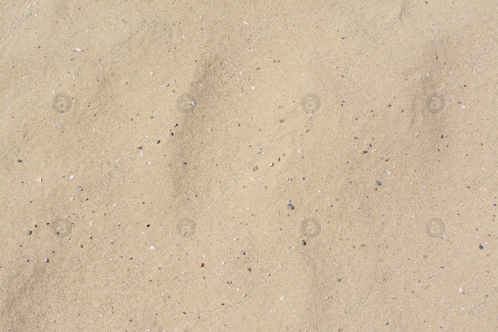 Photo of Texture of sandy beach as background, above view