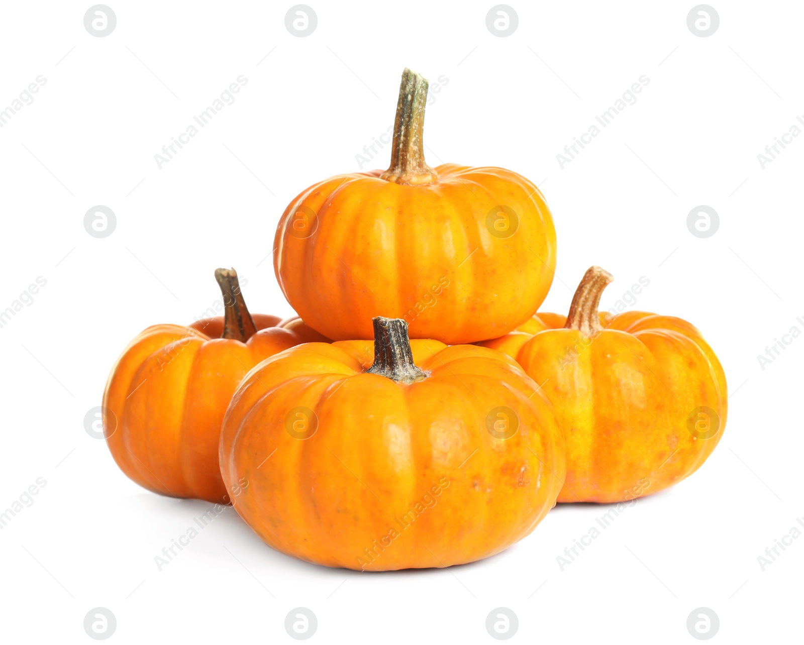 Photo of Beautiful ripe orange pumpkins on white background