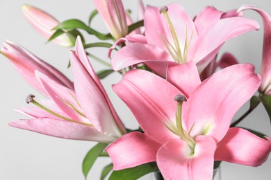 Photo of Beautiful pink lily flowers on light background, closeup