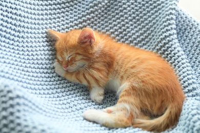 Sleeping cute little red kitten on light blue blanket