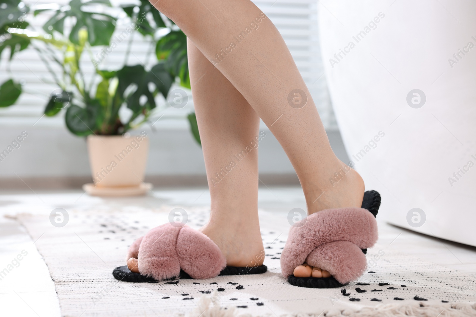 Photo of Woman in soft slippers at home, closeup