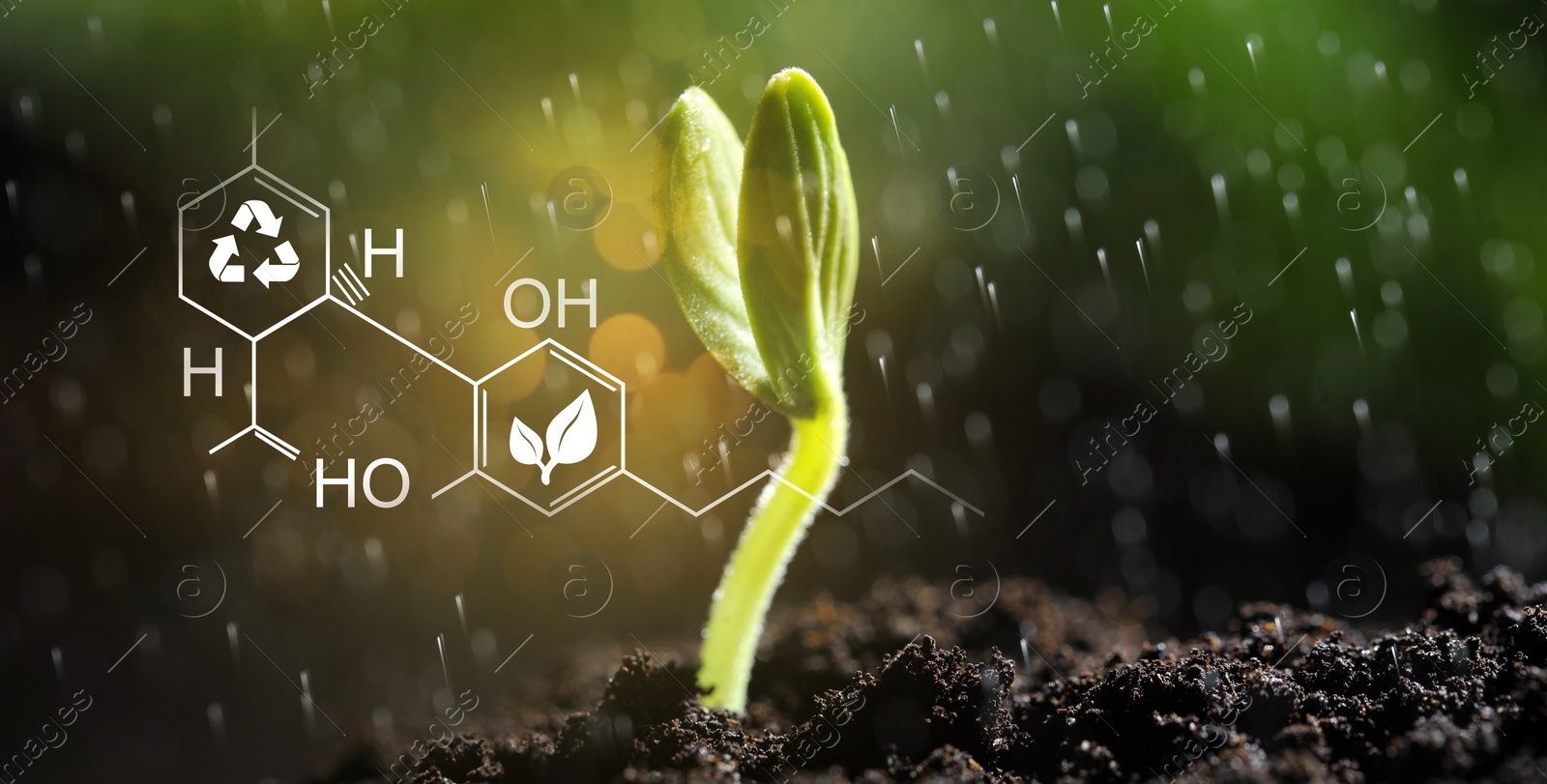 Image of Sprinkling water on little green seedling growing in soil, closeup. Illustration of chemical formula