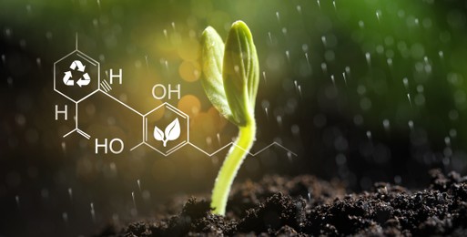 Image of Sprinkling water on little green seedling growing in soil, closeup. Illustration of chemical formula