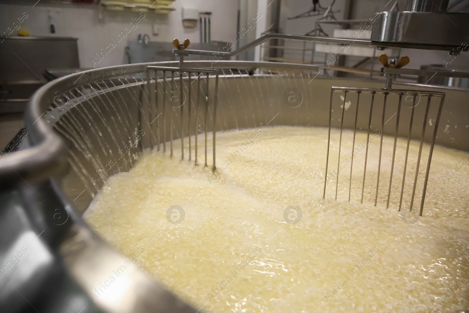 Photo of Adding water to curd and whey in tank at cheese factory