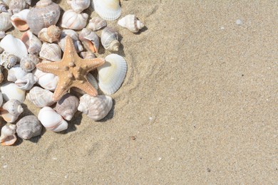 Photo of Beautiful starfish and sea shells on sandy beach, space for text