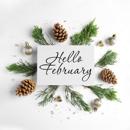 Image of Hello February greeting card, fir tree branches, cones and festive decor on white background, flat lay