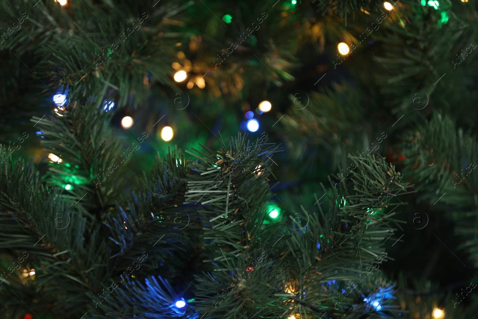 Photo of Christmas tree with bright string lights, closeup. Bokeh effect