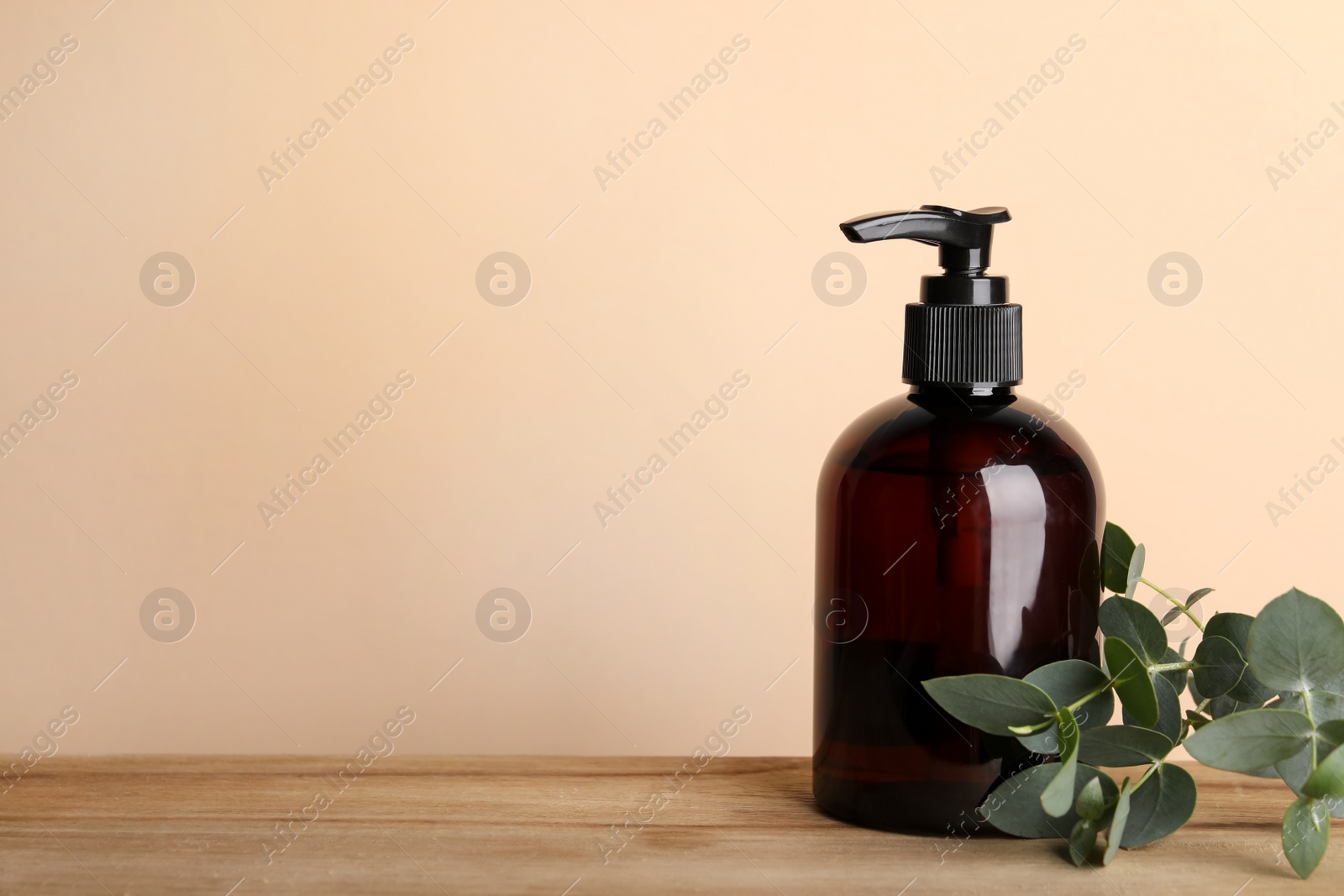 Photo of Bottle of shampoo and tree branch on wooden table near beige wall, space for text