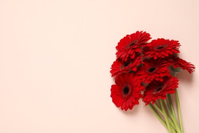 Bouquet of beautiful bright red gerbera flowers on beige background, top view. Space for text