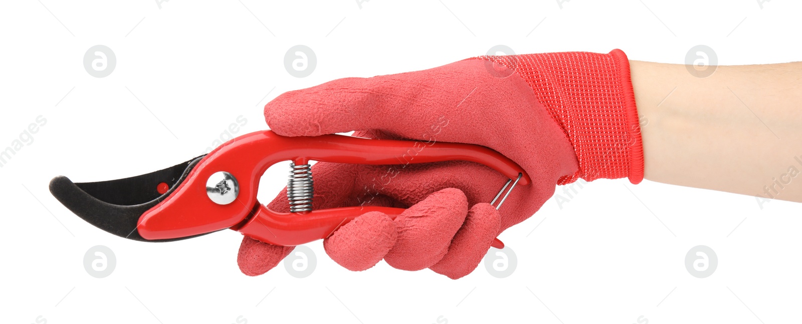 Photo of Woman in gardening glove holding secateurs on white background, closeup