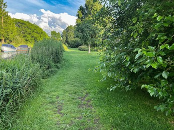 Picturesque view of beautiful park with fresh green grass and trees on sunny day