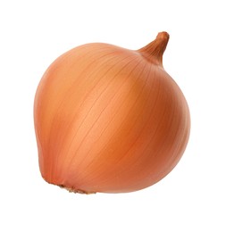 One ripe onion bulb isolated on white