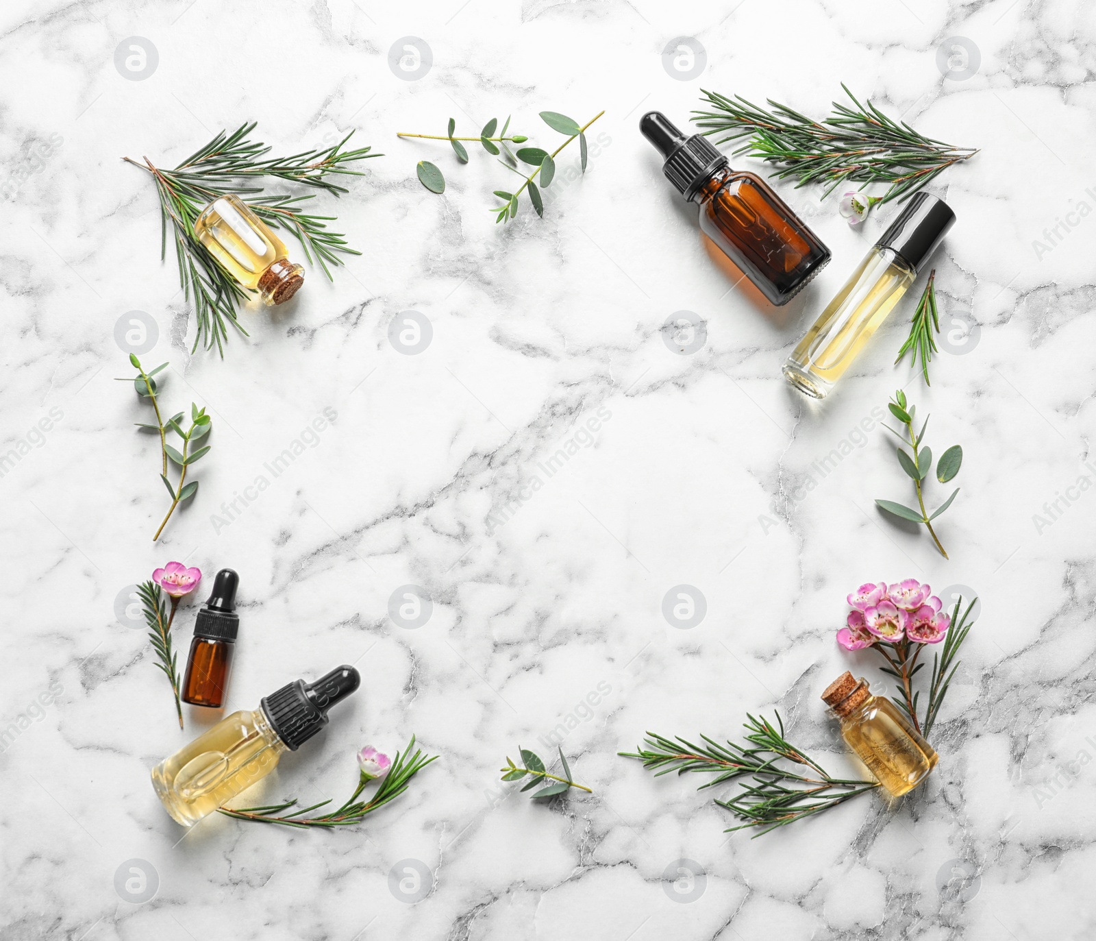 Photo of Flat lay composition with bottles of natural tea tree oil and space for text on white marble background