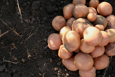 Photo of Pile of ripe potatoes on ground outdoors, top view. Space for text