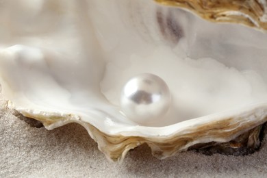Photo of Open oyster with white pearl on sand, closeup