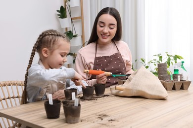 Mother and her daughter filling pots with soil at wooden table indoors. Growing vegetable seeds