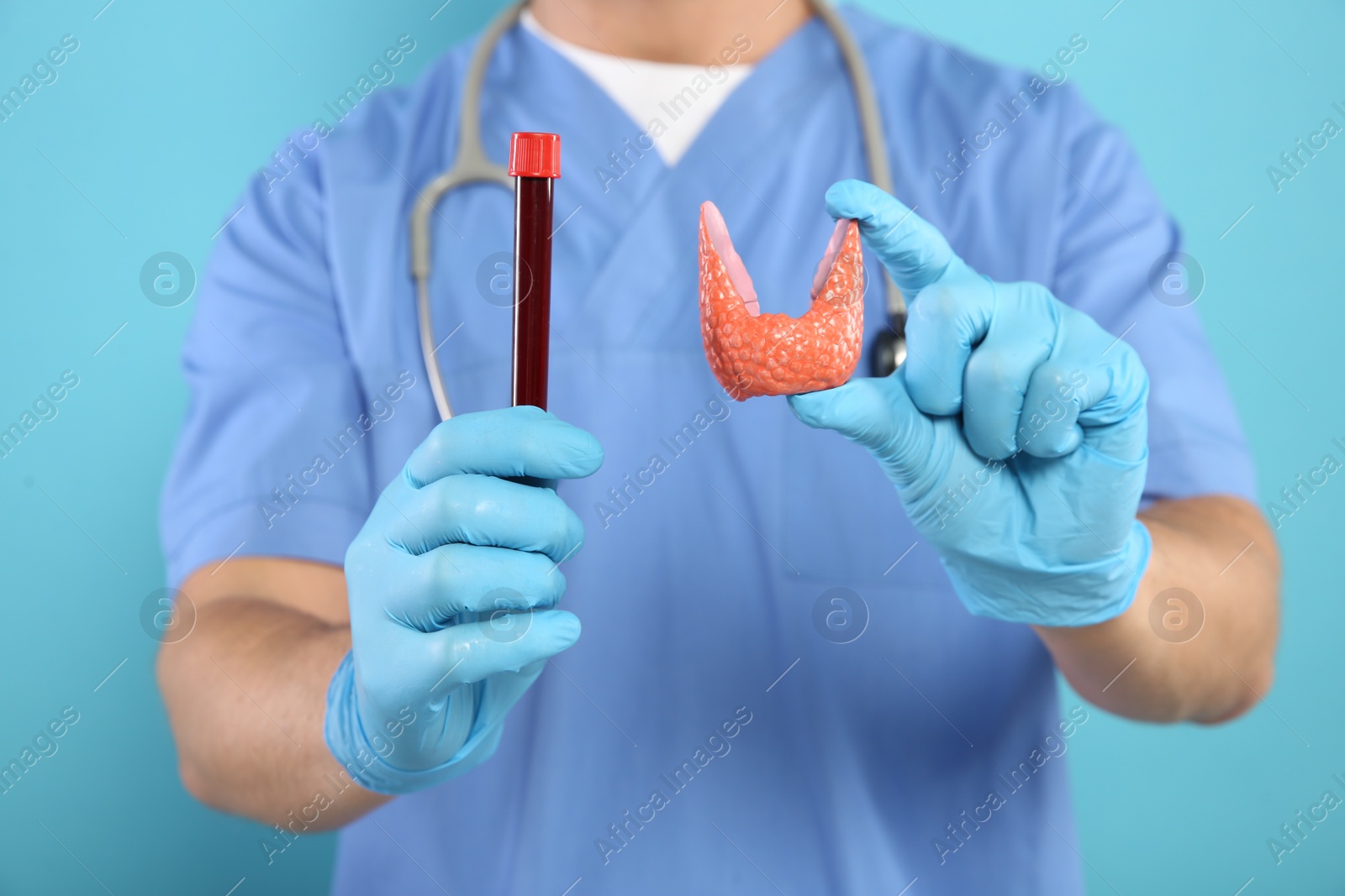 Photo of Endocrinologist showing thyroid gland model and blood sample on light blue background, closeup