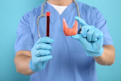 Photo of Endocrinologist showing thyroid gland model and blood sample on light blue background, closeup