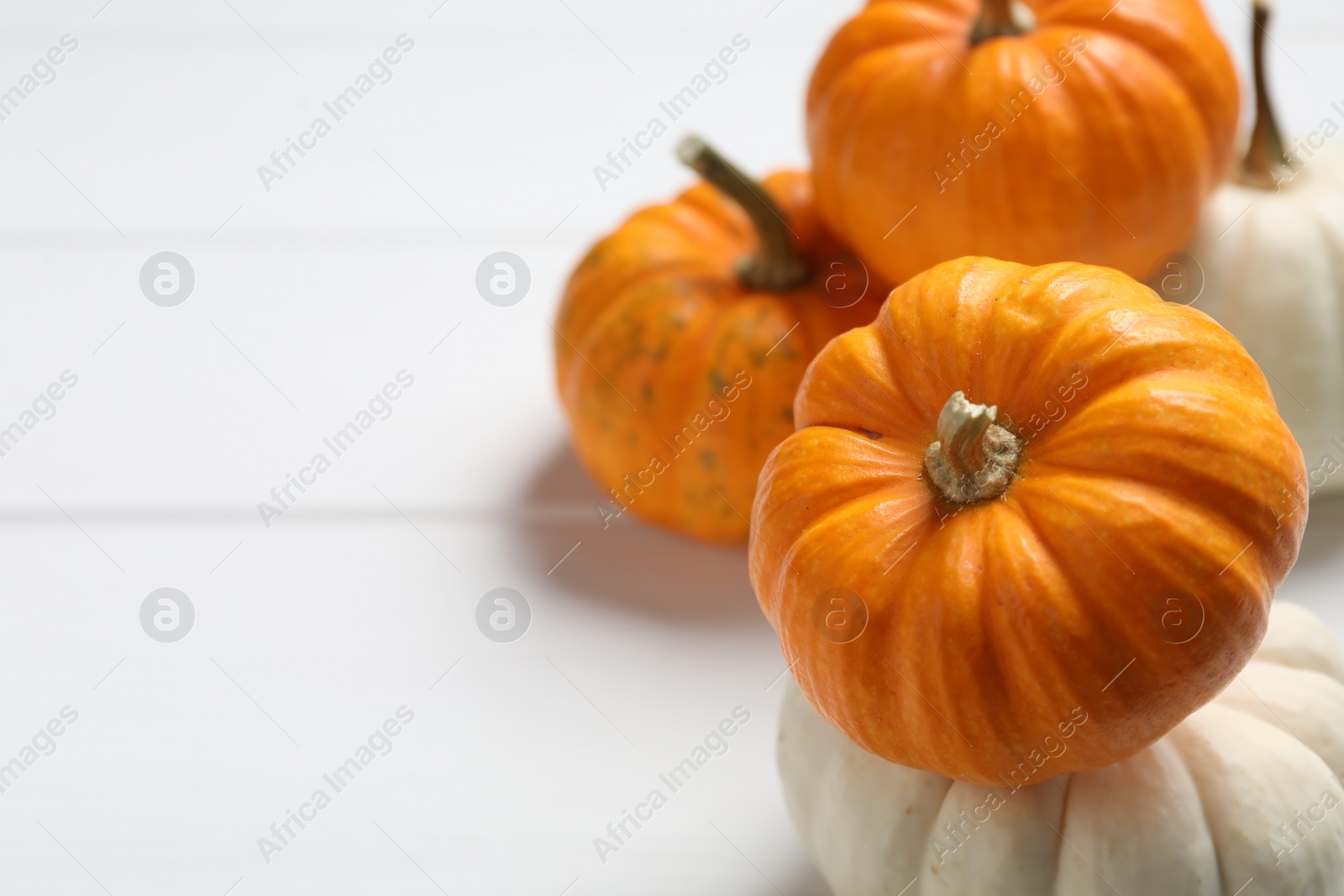 Photo of Thanksgiving day. Different pumpkins on white wooden table, closeup. Space for text