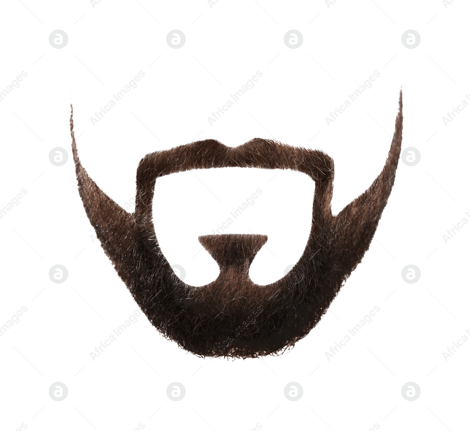 Image of Stylish beard on white background. Men's fashion