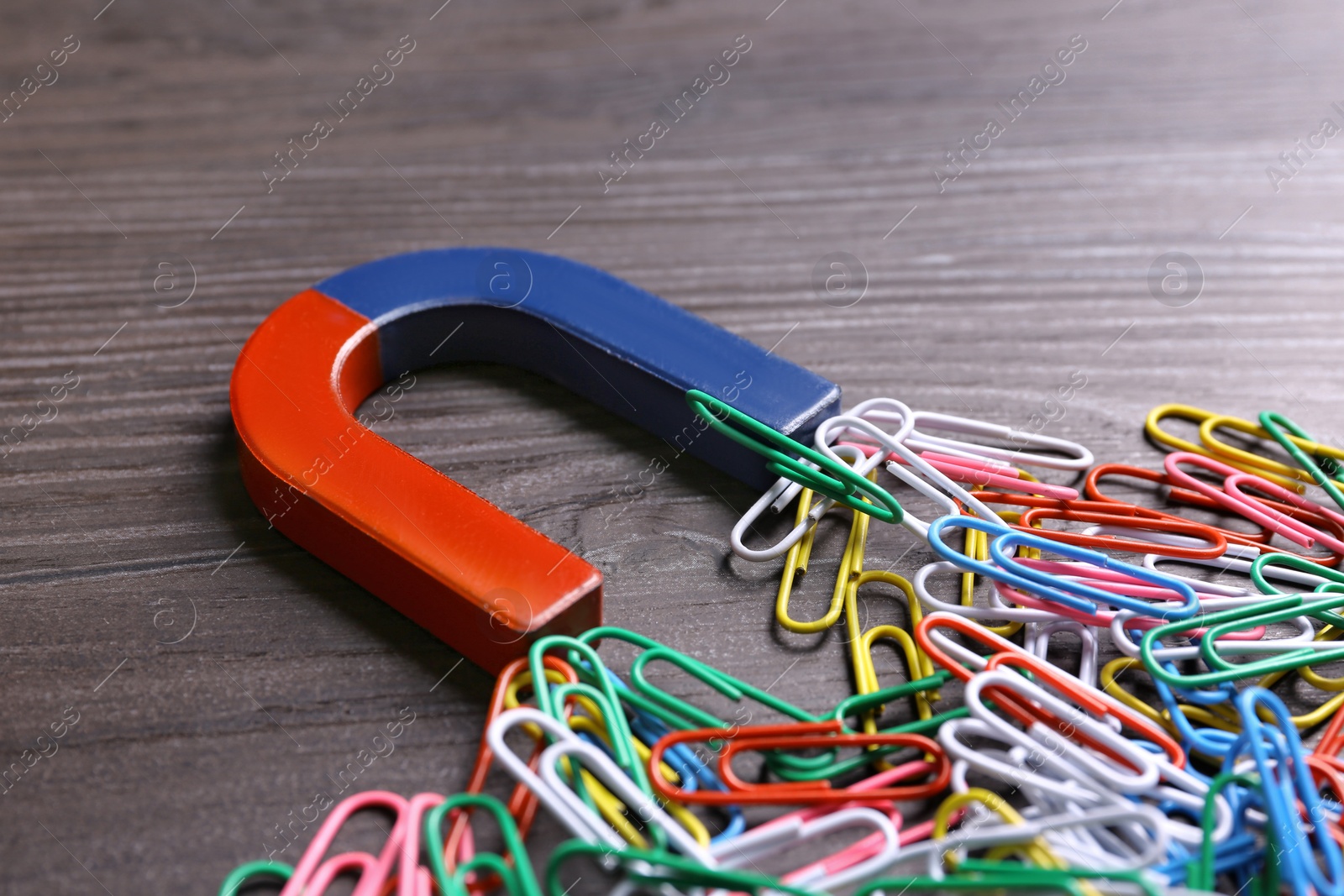 Photo of Magnet attracting colorful paper clips on dark grey wooden background, closeup