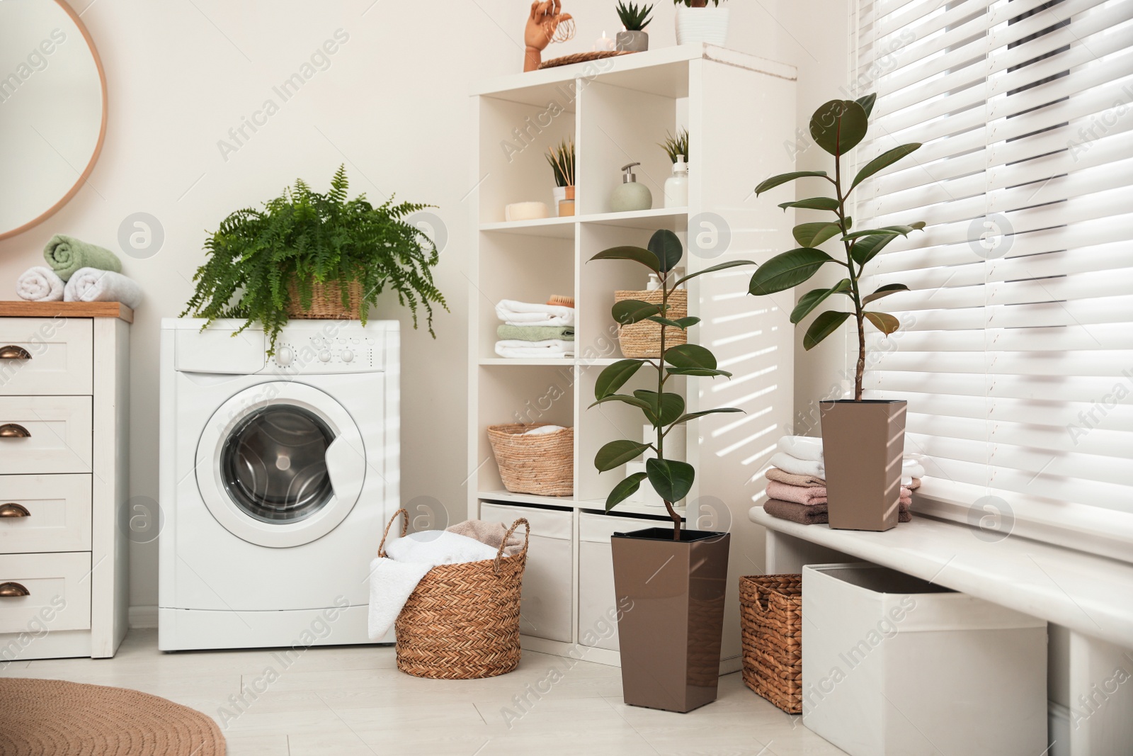 Photo of Elegant interior of modern bathroom with green plants