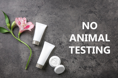 Image of Cosmetic products, flower and text NO ANIMAL TESTING on grey background, flat lay