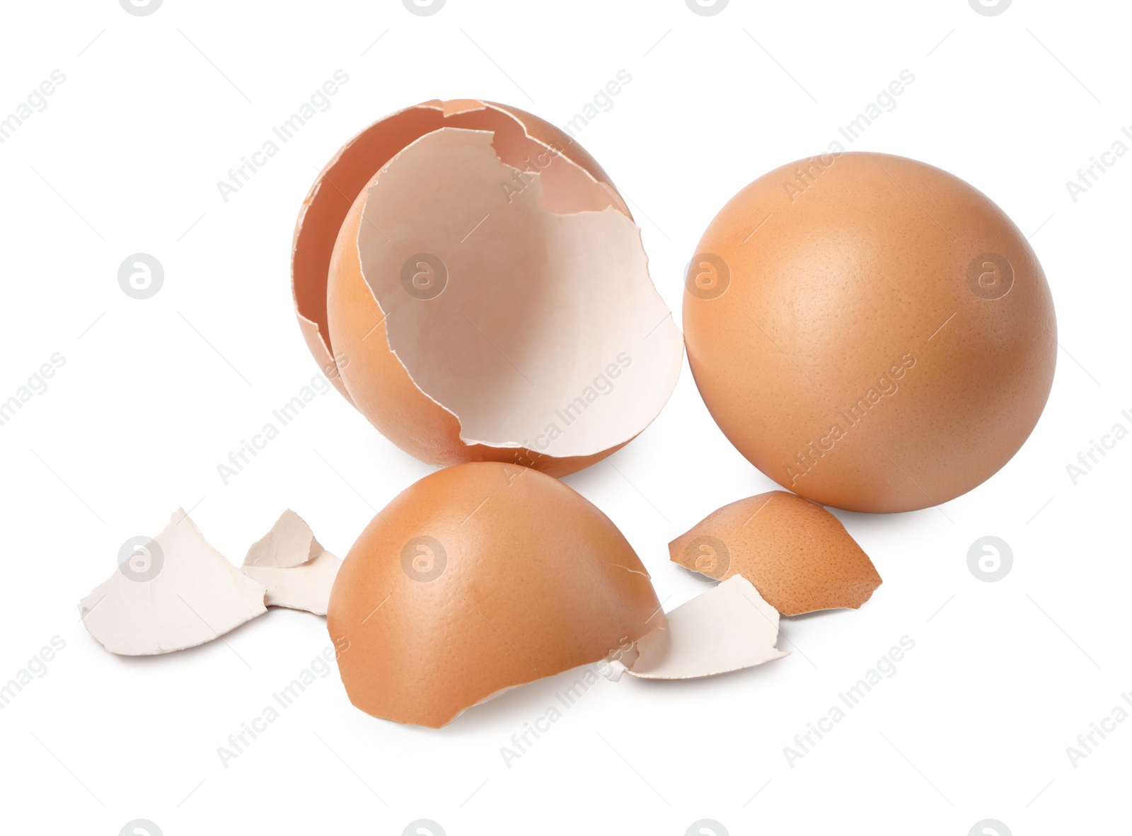 Photo of Chicken egg and pieces of shell isolated on white