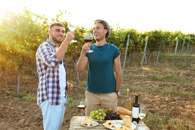 Photo of Friends tasting wine and having fun on vineyard picnic