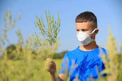 Photo of Little boy with ragweed branch suffering from allergy outdoors