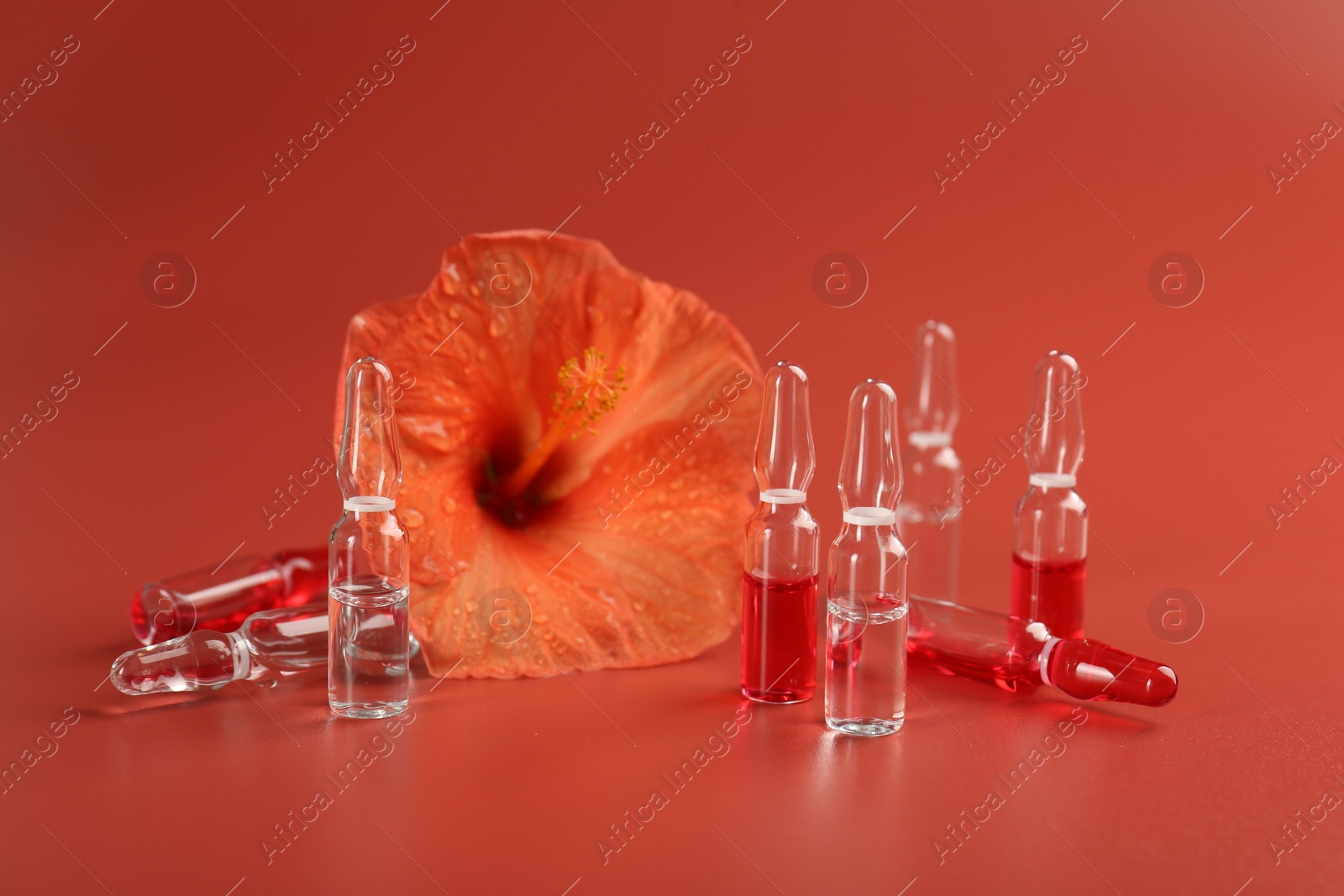 Photo of Skincare ampoules and hibiscus flower on coral background