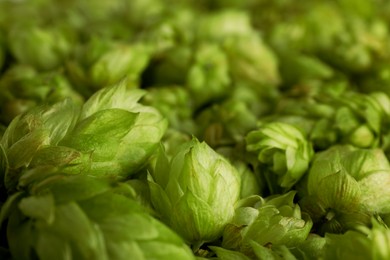 Fresh green hops as background, closeup view