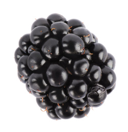 Photo of Beautiful tasty ripe blackberry on white background