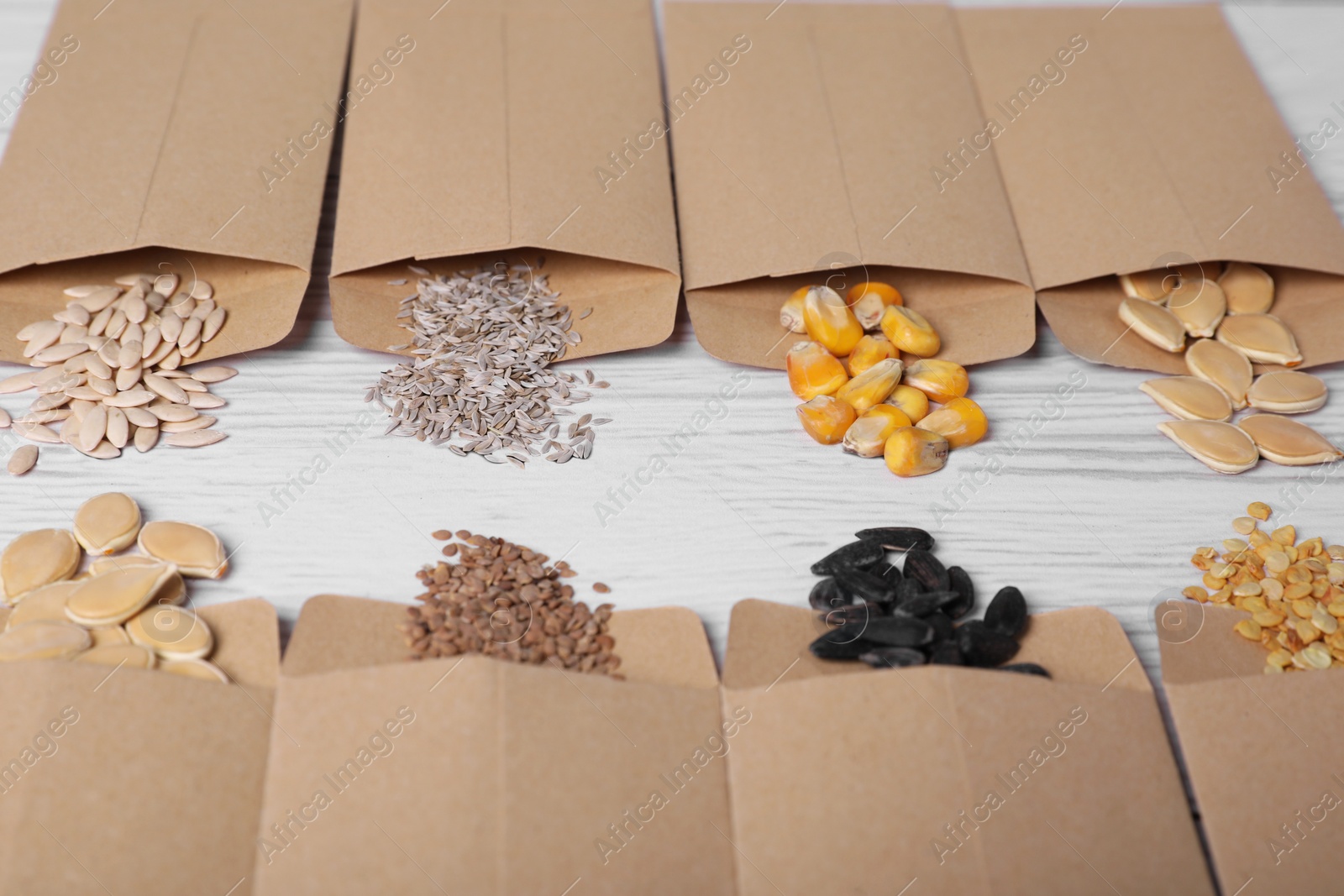 Photo of Many different vegetable seeds on white wooden table, closeup