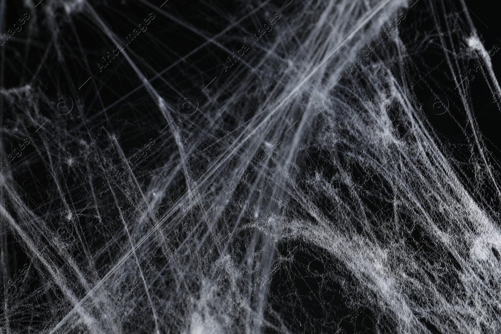 Photo of Creepy white cobweb on black background, closeup