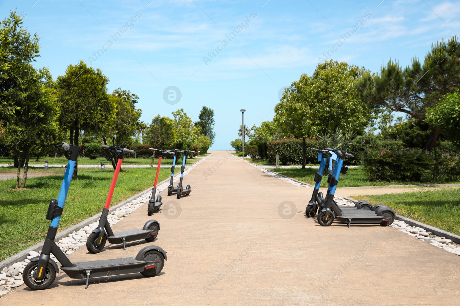 Photo of Many modern electric scooters in park. Rental service