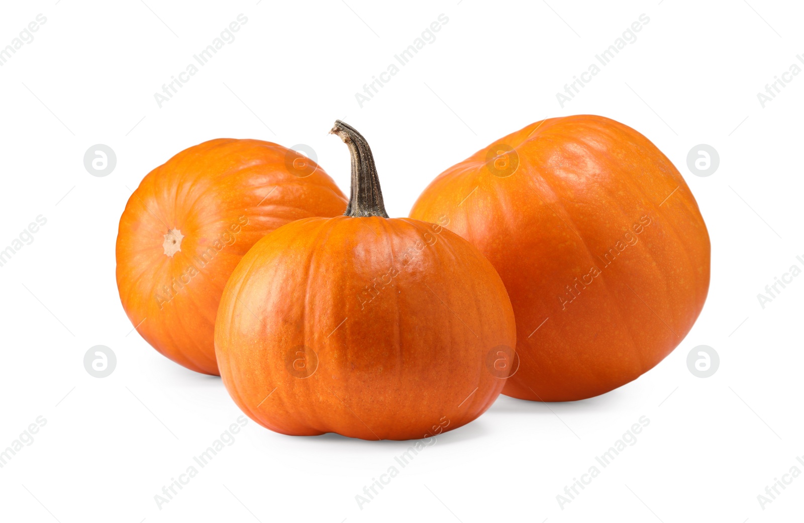 Photo of Many fresh orange pumpkins isolated on white